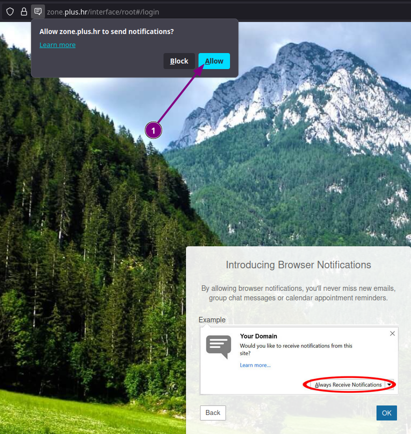 Slika 3. Dozvola obavijesti u web pregledniku